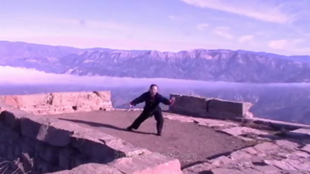 Beginner Tai Chi – Screenshot 1