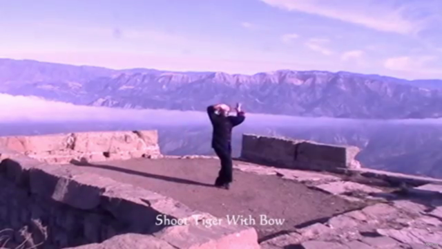 Beginner Tai Chi – Screenshot 2