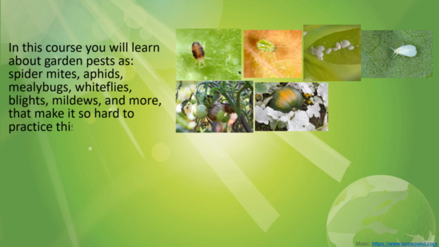 Organic & biological solutions to pests in vegetable garden. - Screenshot_02