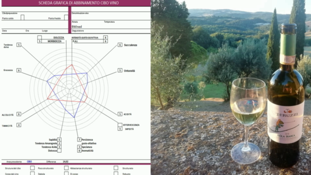 Corso di Abbinamento Cibo Vino – Screenshot 2