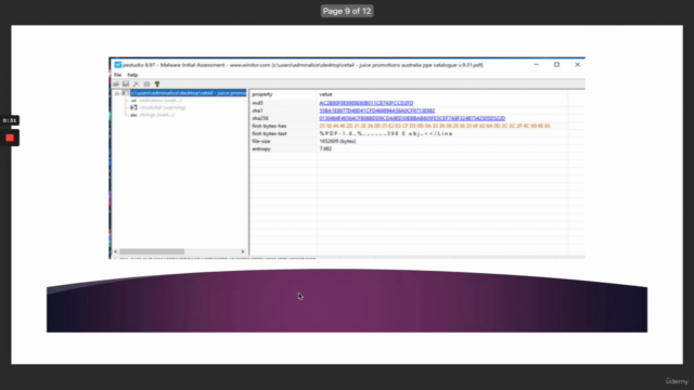 Email Phishing – Screenshot 4