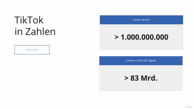 Die TikTok Marketing Anleitung: Der ganze A - Z Kurs in 2025 – Screenshot 1