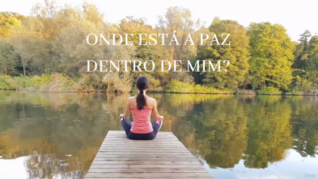 Mind in Harmony - Mente Em Harmonia – Screenshot 3