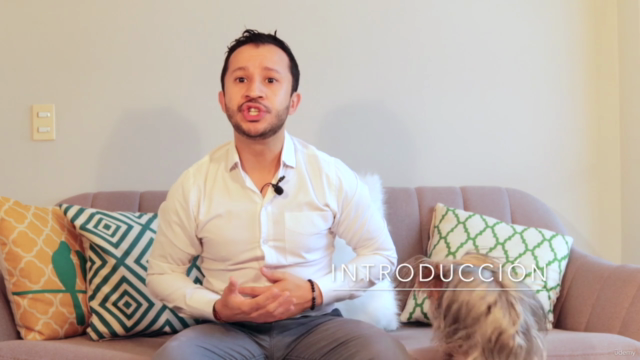 Master Class A: Experto Clínico en Trastornos de Ansiedad – Screenshot 1