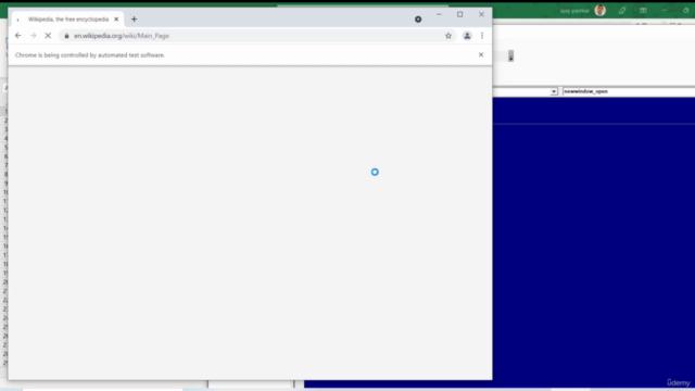 VBA Selenium Web Scraping Part 2/2 – Screenshot 2
