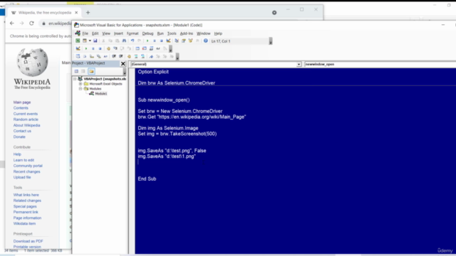VBA Selenium Web Scraping Part 2/2 – Screenshot 4