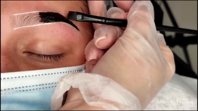 Curso de Diseño de Cejas y Sombreado con Henna – Screenshot 2