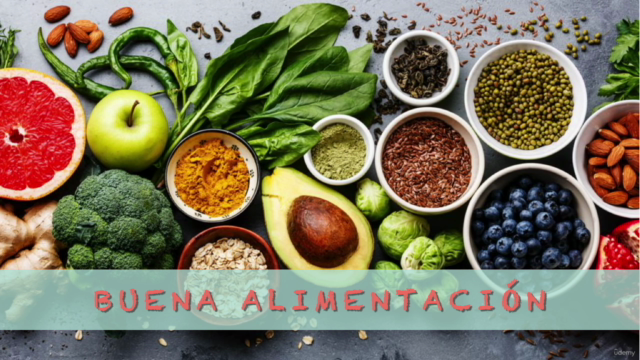 Nutrición para normalizar Colesterol y Triglicéridos – Screenshot 3