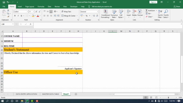 Complete Advanced Data Entry Application in Microsoft Excel - Screenshot_02