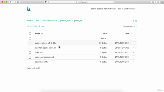 CI/CD en Gitlab vía FTP: Despliegue automático de tu código – Screenshot 4