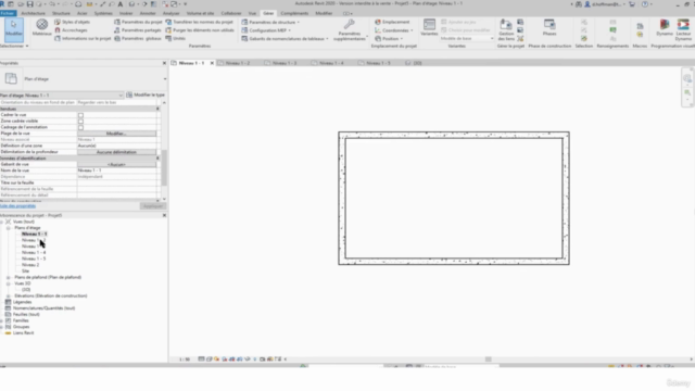 REVIT : LES ÉLÉMENTS 2D ET ALPHANUMÉRIQUES – Screenshot 2
