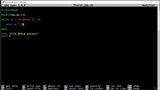 Linux BASH Scripting (course with PDF handbook) – Screenshot 2