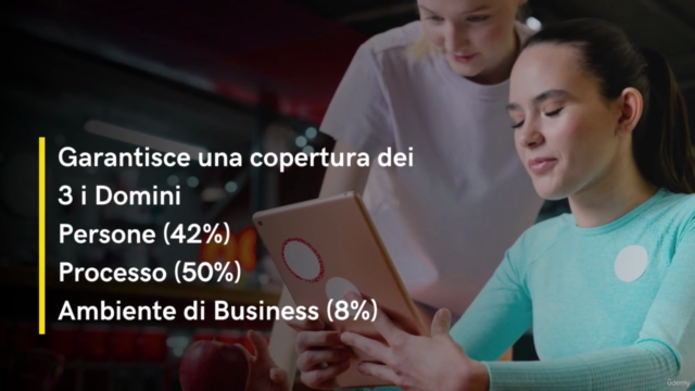 Domande di Simulazione PMP di Livello Avanzato 2025 – Screenshot 3