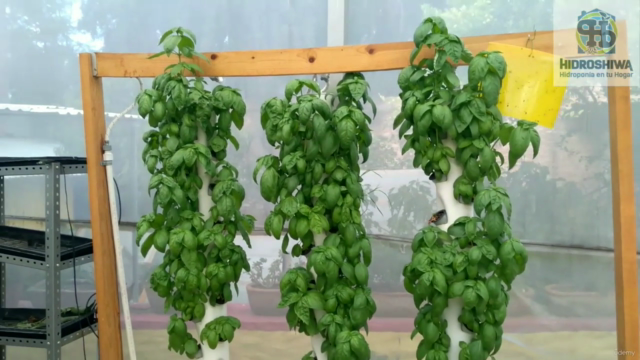 Guide of Home Hydroponics – Screenshot 1