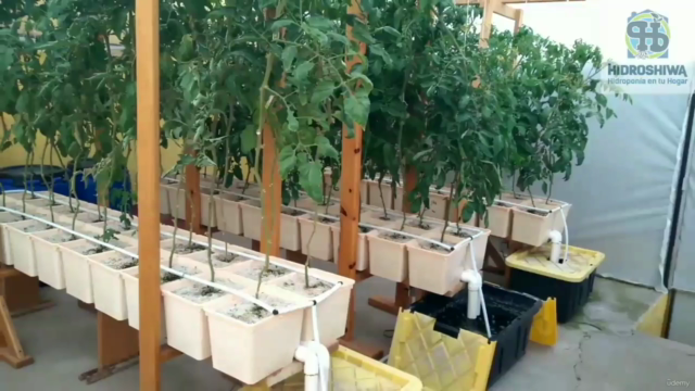 Guide of Home Hydroponics – Screenshot 2