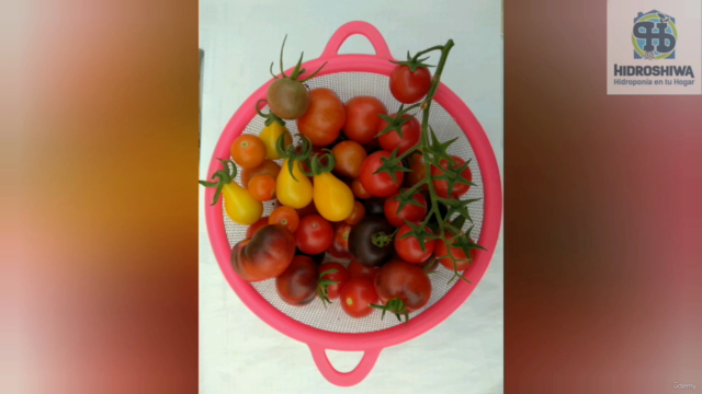 Guide of Home Hydroponics – Screenshot 4