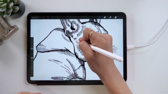 Procreateで「動物が歩く」アニメーションの作り方解説!iPadだけで完成するキャラクターアニメーション。 – Screenshot 1