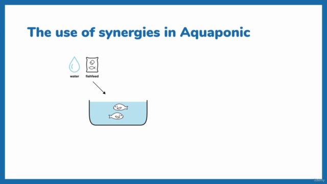 Aquaponics Fundamentals: Learn The Essentials of Aquaponics – Screenshot 1