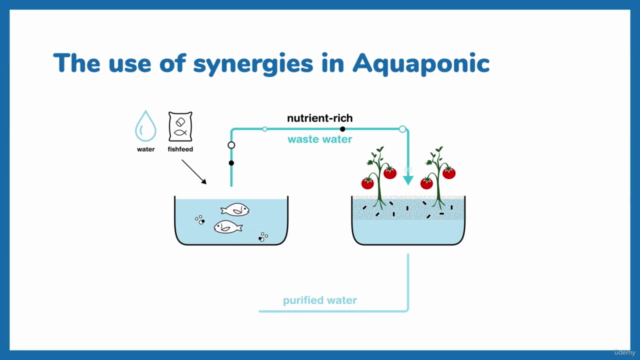 Aquaponics Fundamentals: Learn The Essentials of Aquaponics – Screenshot 2