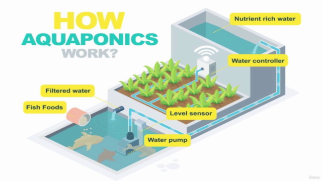 Aquaponics Fundamentals: Learn The Essentials of Aquaponics – Screenshot 3