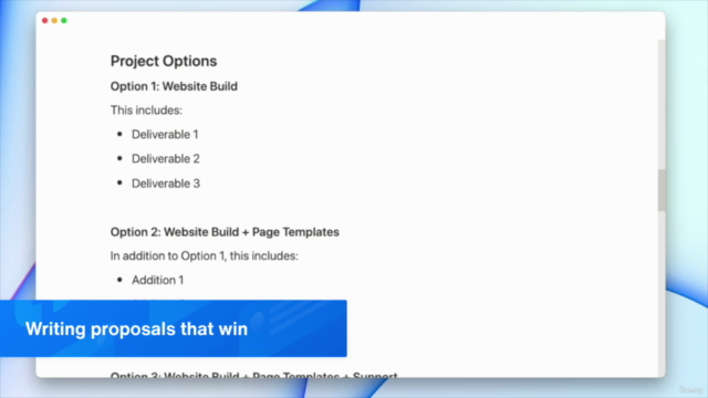 Successful Web Design Freelancing – Screenshot 3