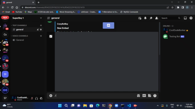 Develop Discord Bots in NodeJS - Ultimate Course 2023 – Screenshot 3