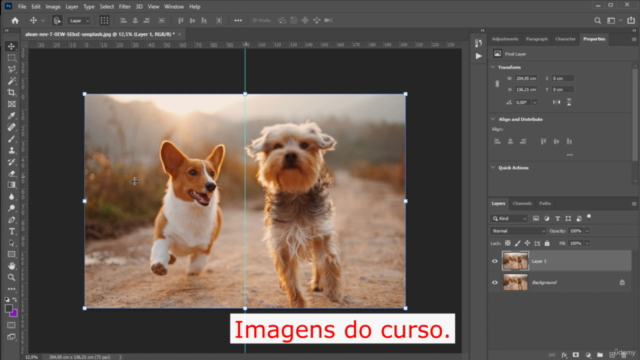 Photoshop Completo - As Principais Técnicas Para o Dia a Dia – Screenshot 4