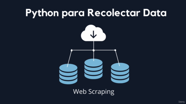 Curso de Data Science en Python Desde Cero + ChatGPT [2024] – Screenshot 4