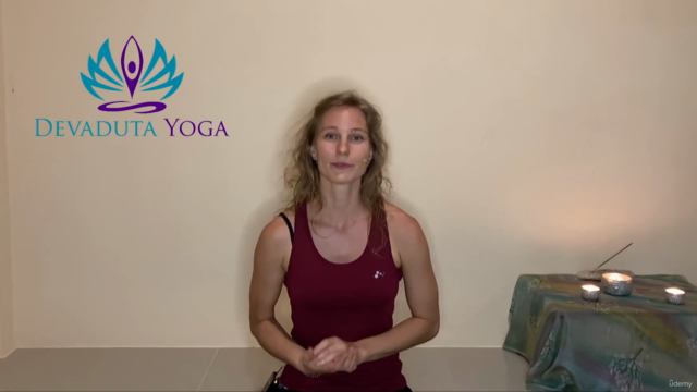 Grundkurs Ausrichtung im Yoga - Teil 1: Basismodul – Screenshot 1