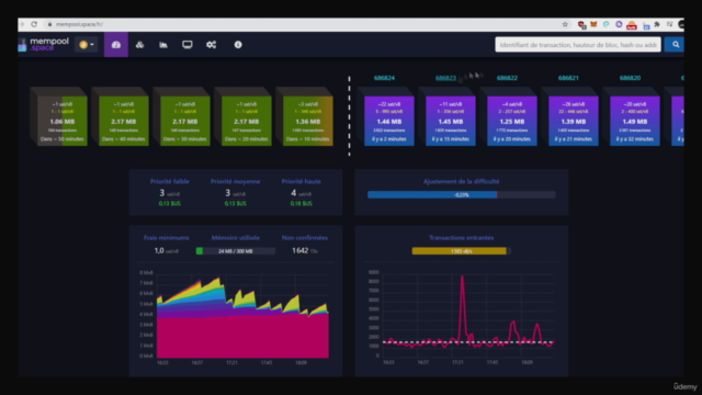 Formation complète sur les Cryptomonnaies et les NFT – Screenshot 2