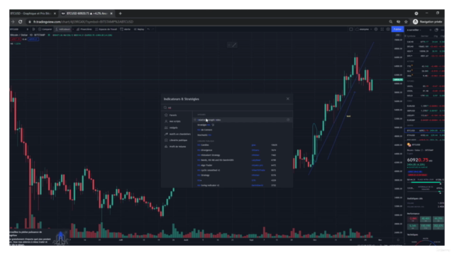 Formation complète sur les Cryptomonnaies et les NFT – Screenshot 4