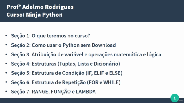 Ninja Python – Screenshot 3