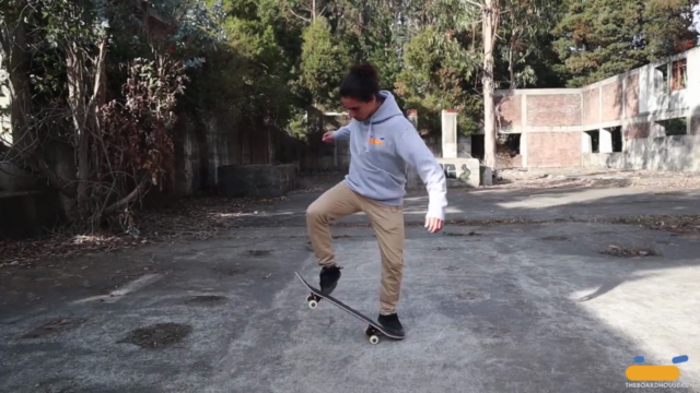 Curso de Skate en Linea en Español (con subtítulos) – Screenshot 1