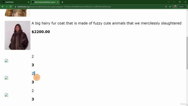 Ethical Hacking™: Learn to hack Websites and Applications – Screenshot 1