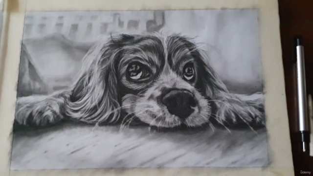 How To Sketch and Draw a Realistic Puppy in Charcoal – Screenshot 3