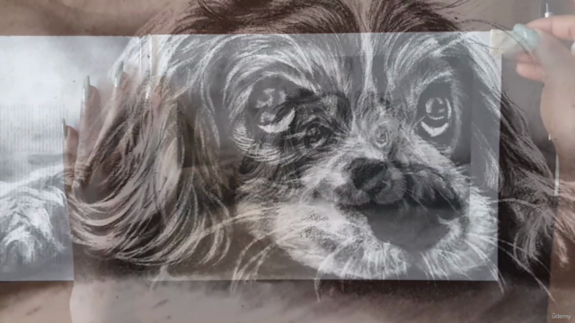 How To Sketch and Draw a Realistic Puppy in Charcoal – Screenshot 4