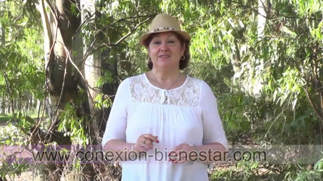 Cree en ti, tu puedes – Screenshot 3