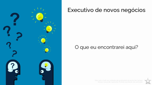 Formação Executivo de Novos Negócios – Screenshot 2