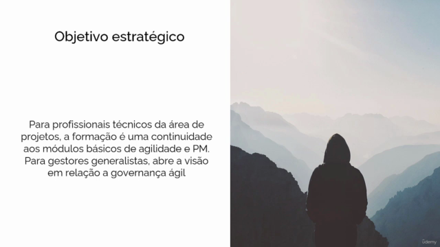 Fundamentos do EGP Ágil – Screenshot 3