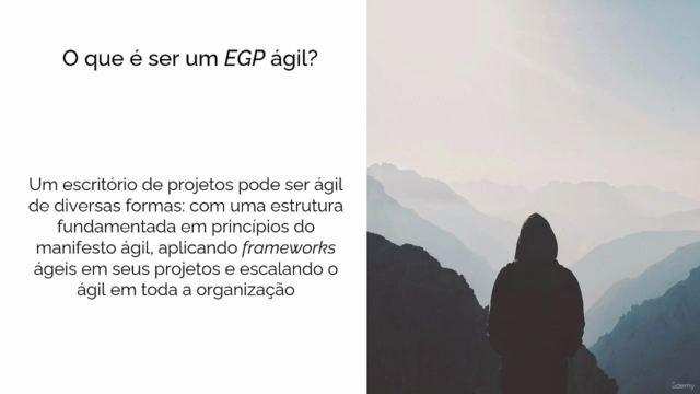 Fundamentos do EGP Ágil – Screenshot 4