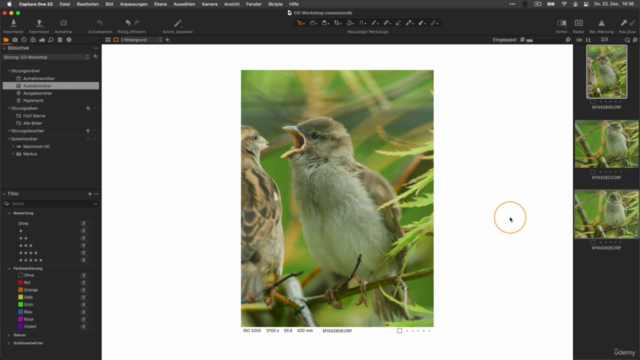 Capture One Pro – vom Einsteiger zum Experten – Screenshot 1