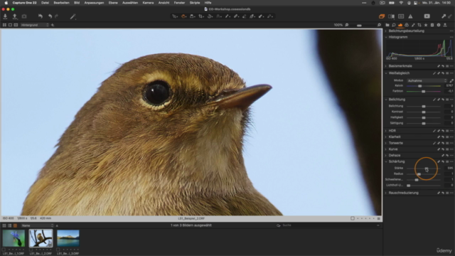 Capture One Pro – vom Einsteiger zum Experten – Screenshot 2