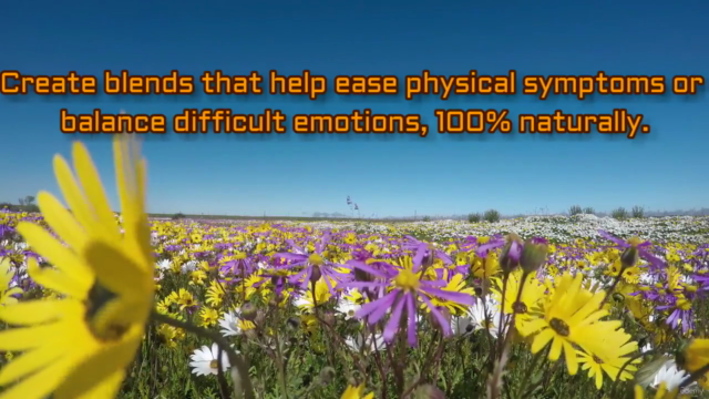 AROMATHERAPY: Essential Oils & Aromatherapy Certification! – Screenshot 3