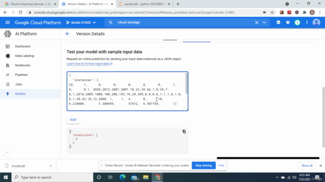 Deploy machine learning models on Google Cloud AI Platform – Screenshot 2