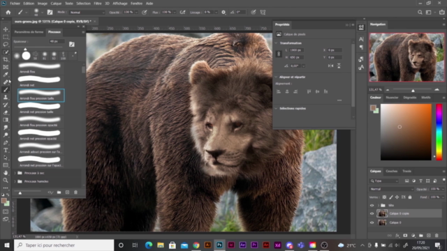 Adobe Photoshop 2023: tout savoir en 1 cours-tout niveau - Screenshot_02