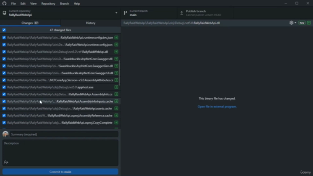 C# .NET 5 API in clean architecture with best work practices – Screenshot 2