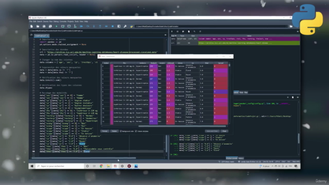 Python pour la Data Science et le Machine Learning en 4h – Screenshot 3