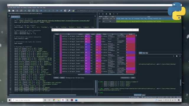 Python pour la Data Science et le Machine Learning en 4h – Screenshot 4