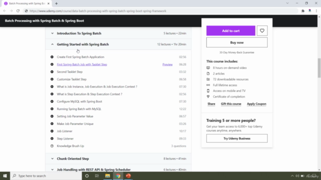 Batch Processing with Spring Batch & Spring Boot – Screenshot 1