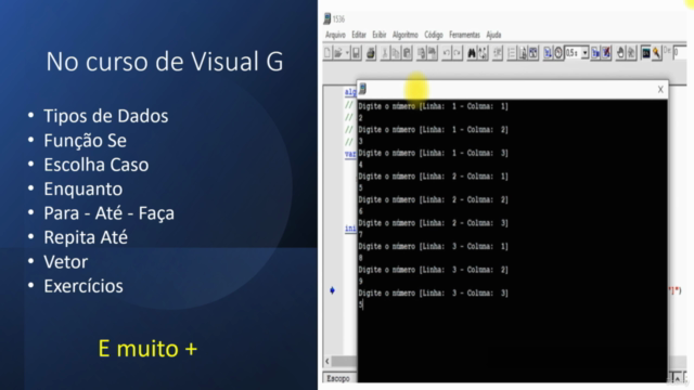 Lógica Programação VisualG, C++, Python, C#, Java + Projetos - Screenshot_01